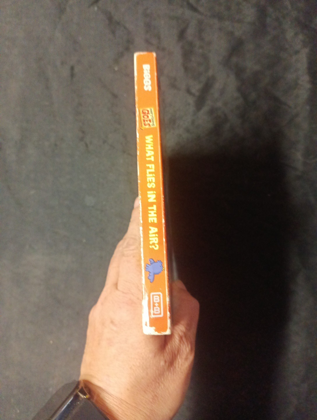 Everything Goes: What Flies in the Air? by Brian Biggs (2013, Children’s…