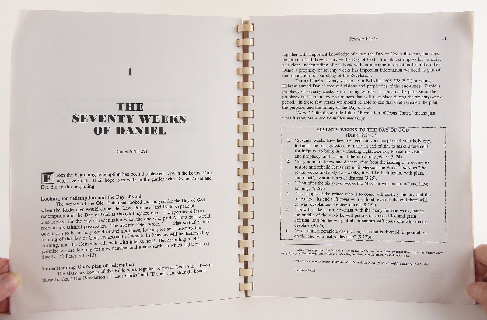 The Layperson’s Prophecy Handbook for Everyday Use Rare 1992 Issue Mary E. Lewis