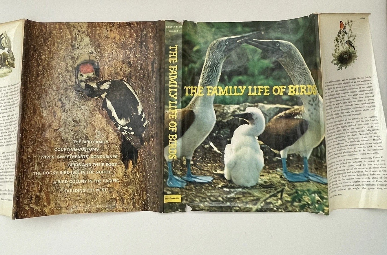 Family Life of Birds 1971 HC DJ VG Dossenbach Nature Photography Book