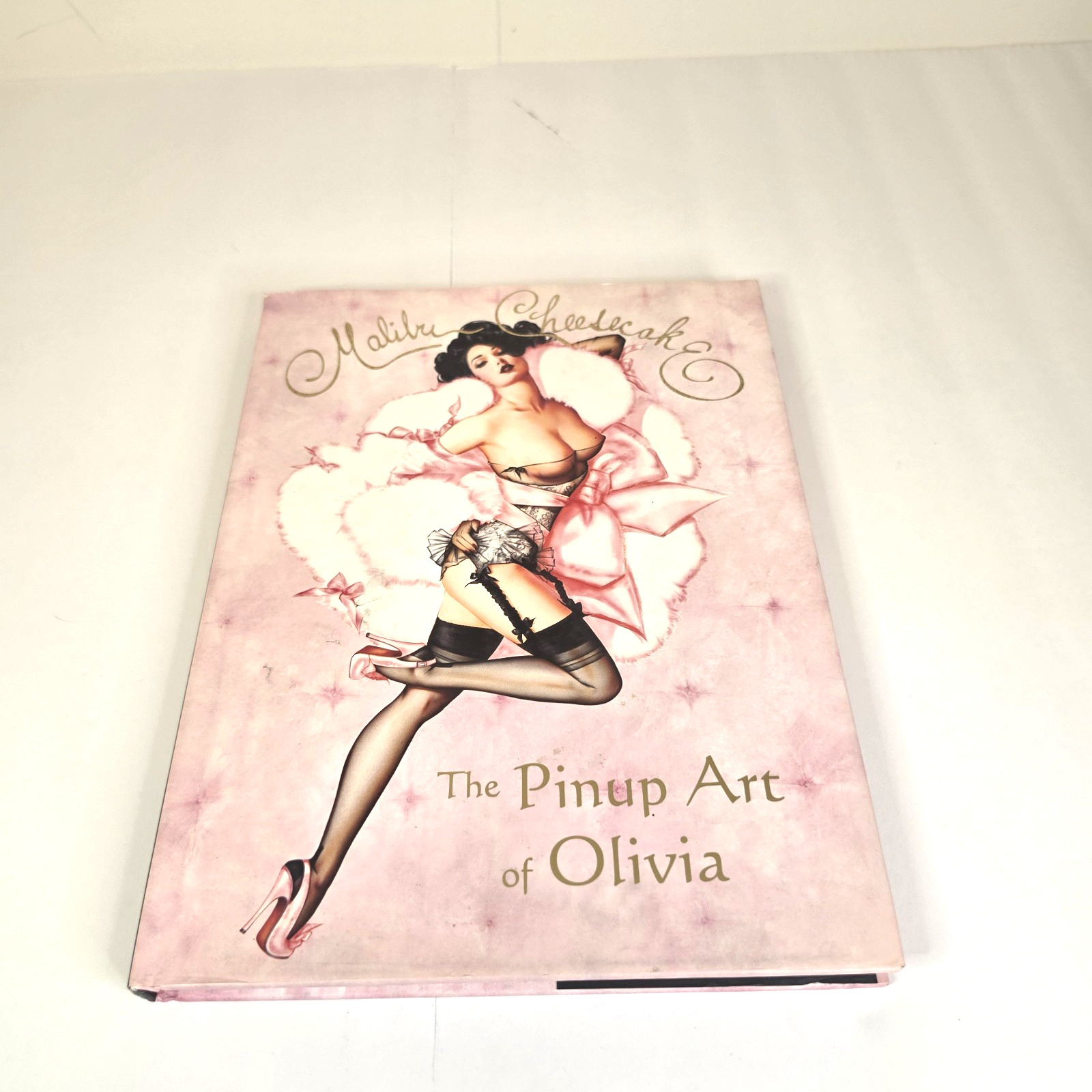 Malibu Cheesecake : The Pinup Art of Olivia by Olivia de Berardinis (2011)