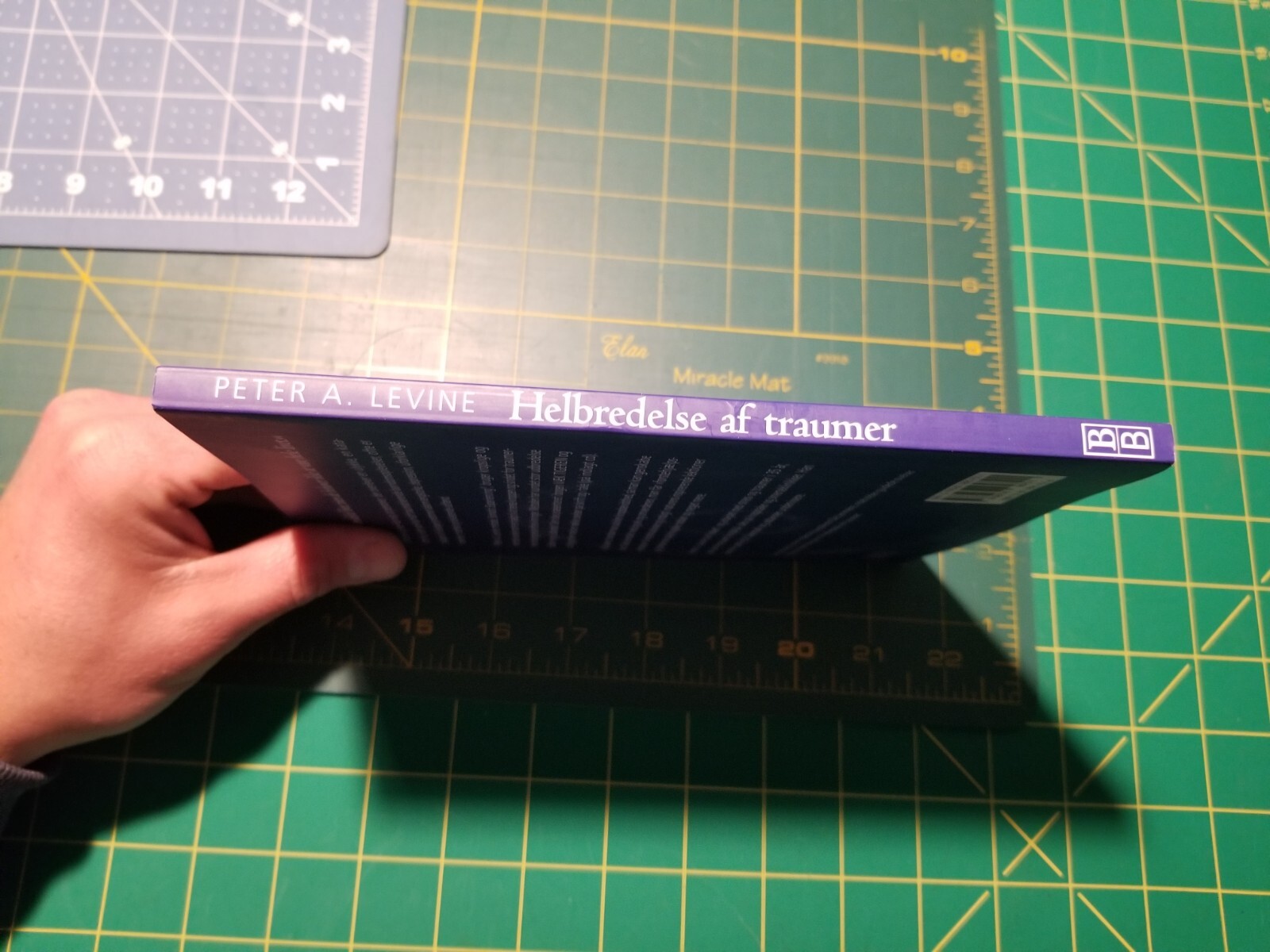 Helbredelse af traumer by Peter A. Levine (Danish)