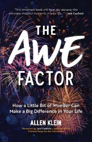 Allen Klein The Awe Factor (Paperback)