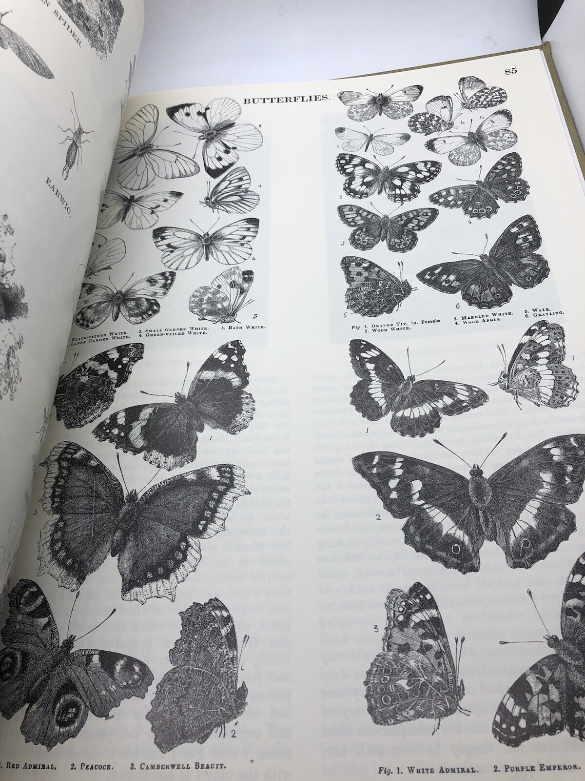 Routlege‘s Nursery Picture Book modern reprint Pryor publications