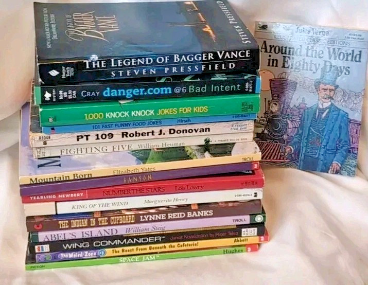 Books For Pre Teens Lot Of 16 Fiction Paperback