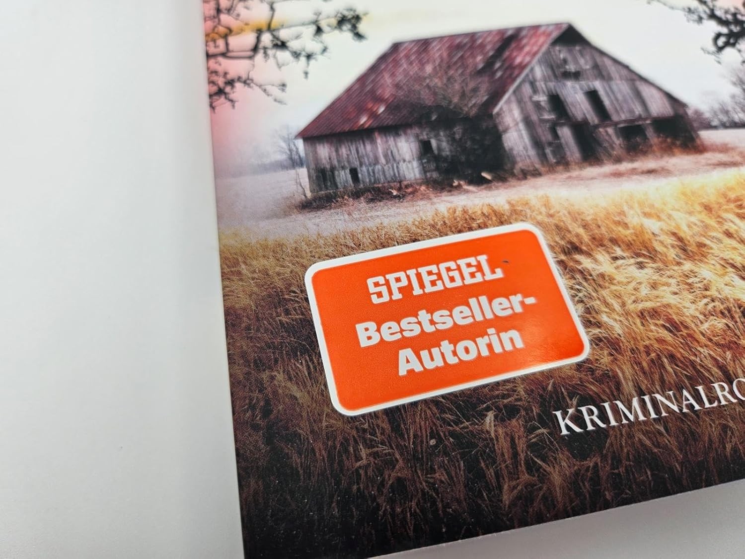 Susanne Mischke Deine Welt wird brennen (Hannover-Krimis (Paperback) (UK IMPORT)