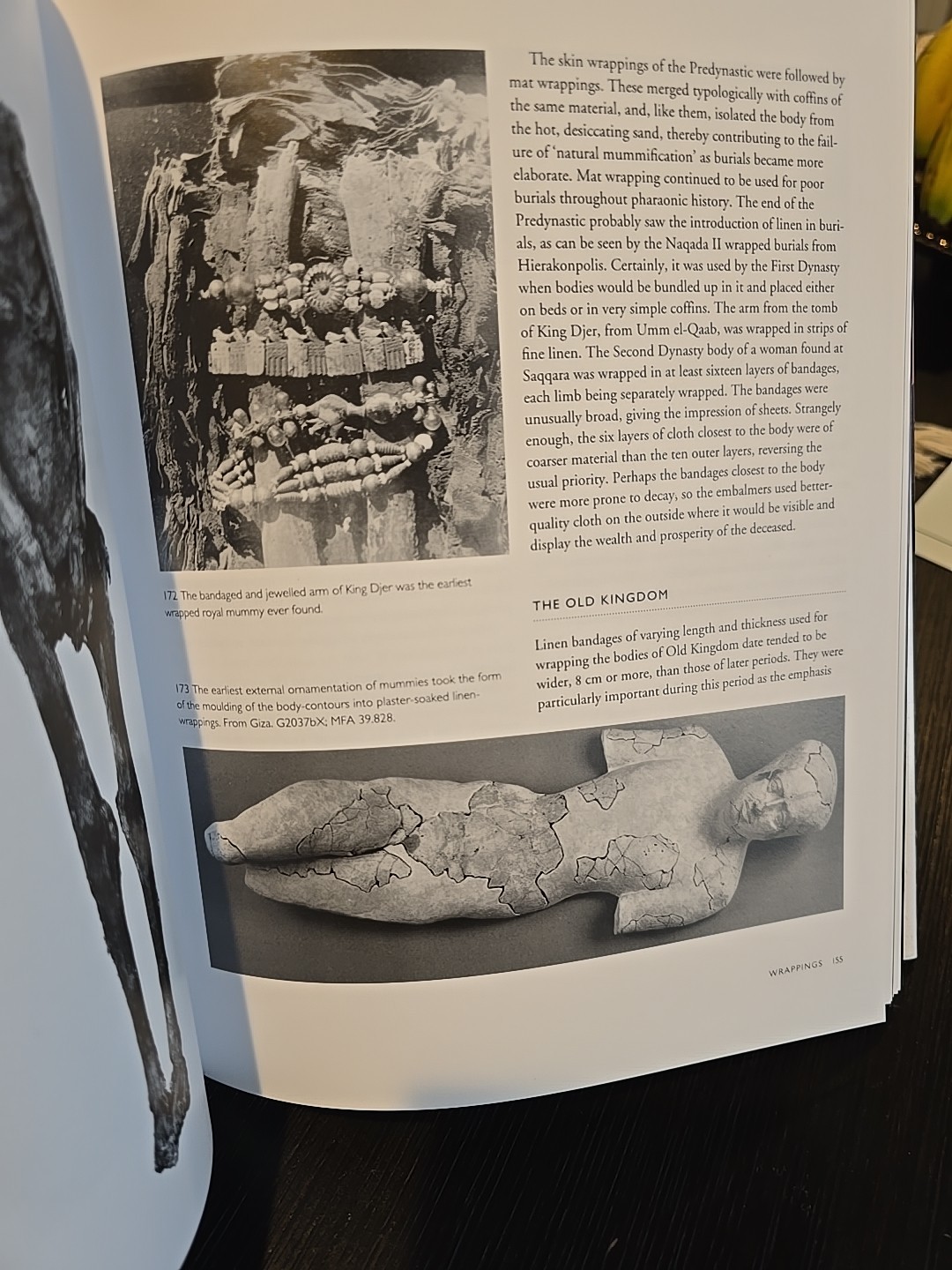 The Mummy In Ancient Egypt- Salima Ikram, Aidan Dodson