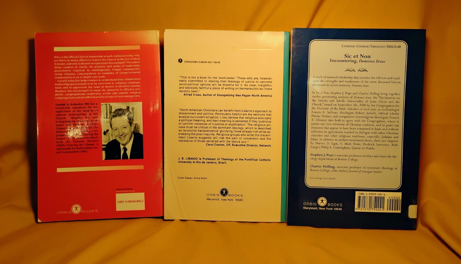 Sic et Non Spiritual Discernment Refounding the Church Religion 3 PB book lot