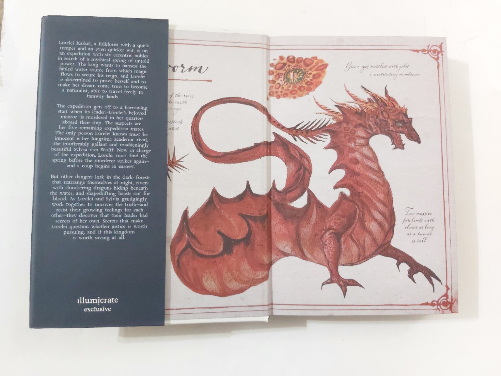 A Dark and Drowning Tide – SIGNED – ILLUMICRATE Exclusive Edition Allison Saft