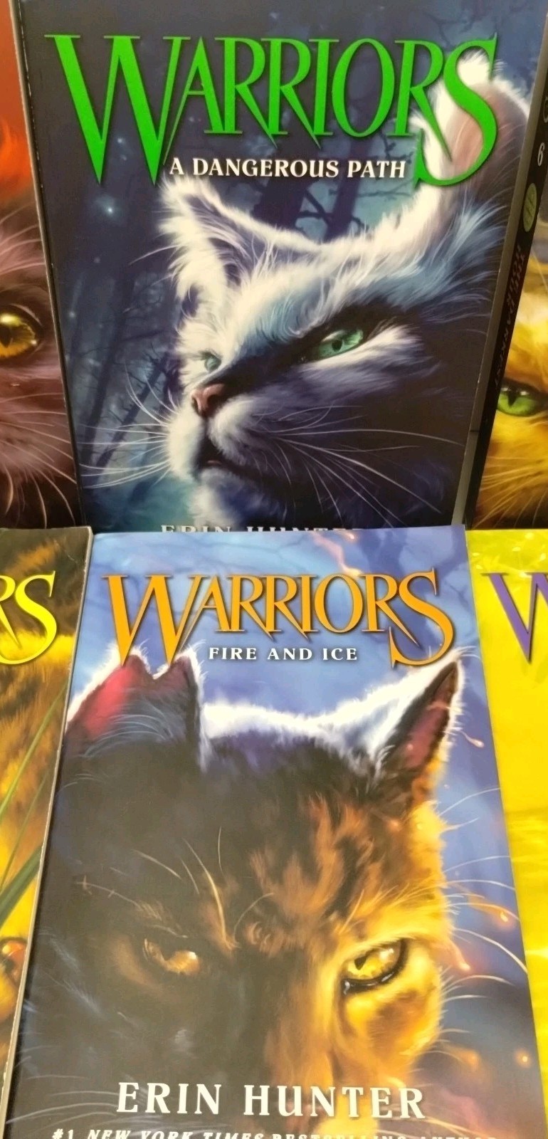 Warriors Set: Books 1 To 6 : The Complete First Series by Erin Hunter Paperback