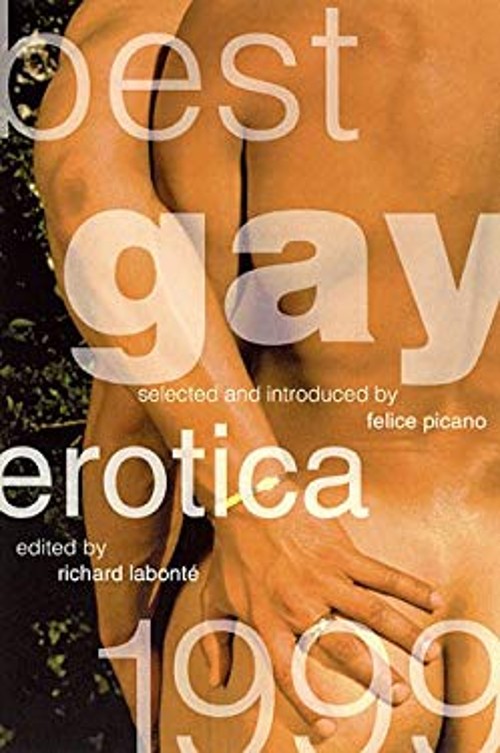 Best Gay Erotica 1999 Paperback Felice Picano