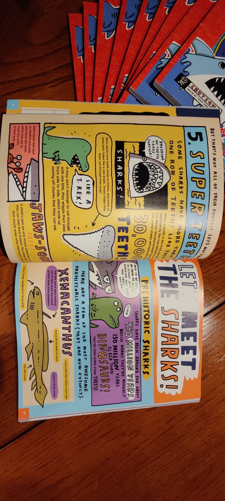 Everything about Sharks and Other Underwater Creatures by Mike Lowery BRAND NEW