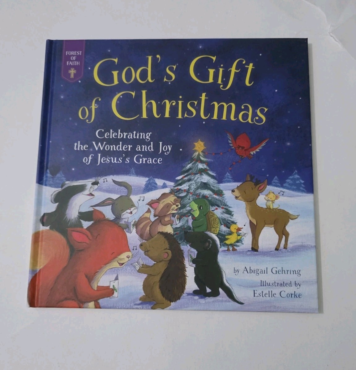 Abigail Gehring God’s Gift of Christ (Hardback)