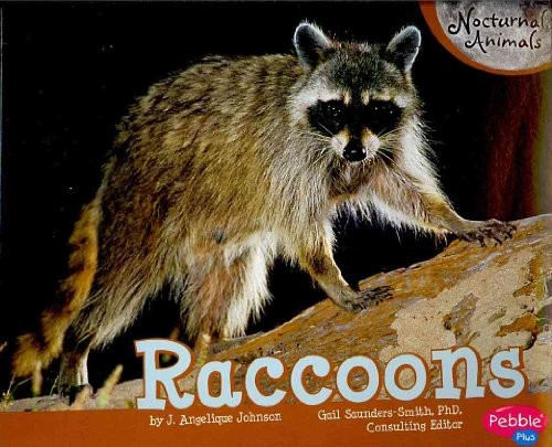 Raccoons (Nocturnal Animals) – VERY GOOD
