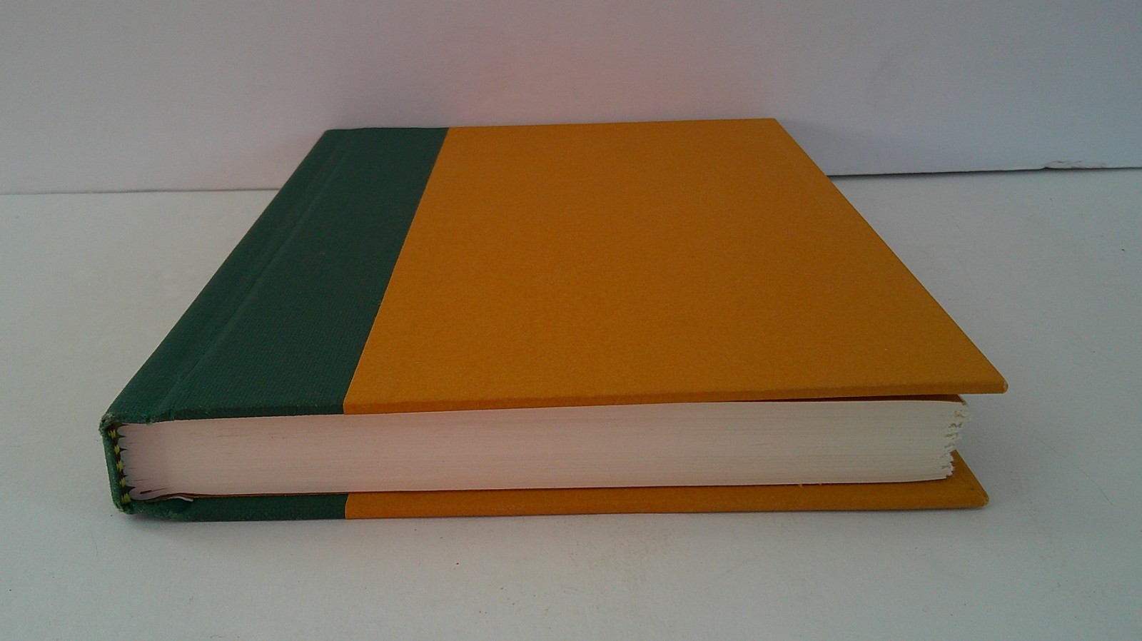 The Stranger In The Woods by Michael Finkel Illustrated Hardcover & Dust Jacket