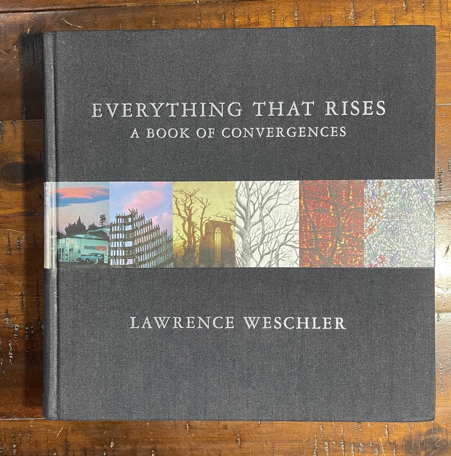 EVERYTHING THAT RISES: A BOOK OF CONVERGENCES By Lawrence Weschler – Hardcover