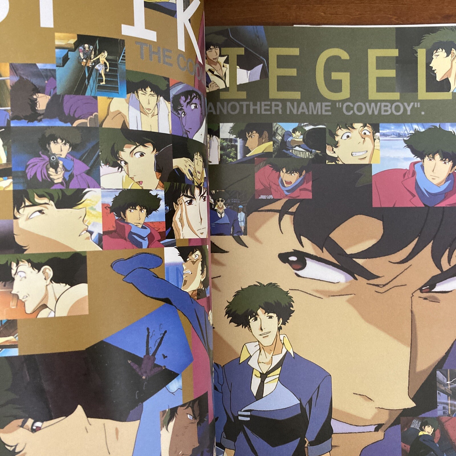 COWBOY BEBOP Characters Collection Art Book Illustration