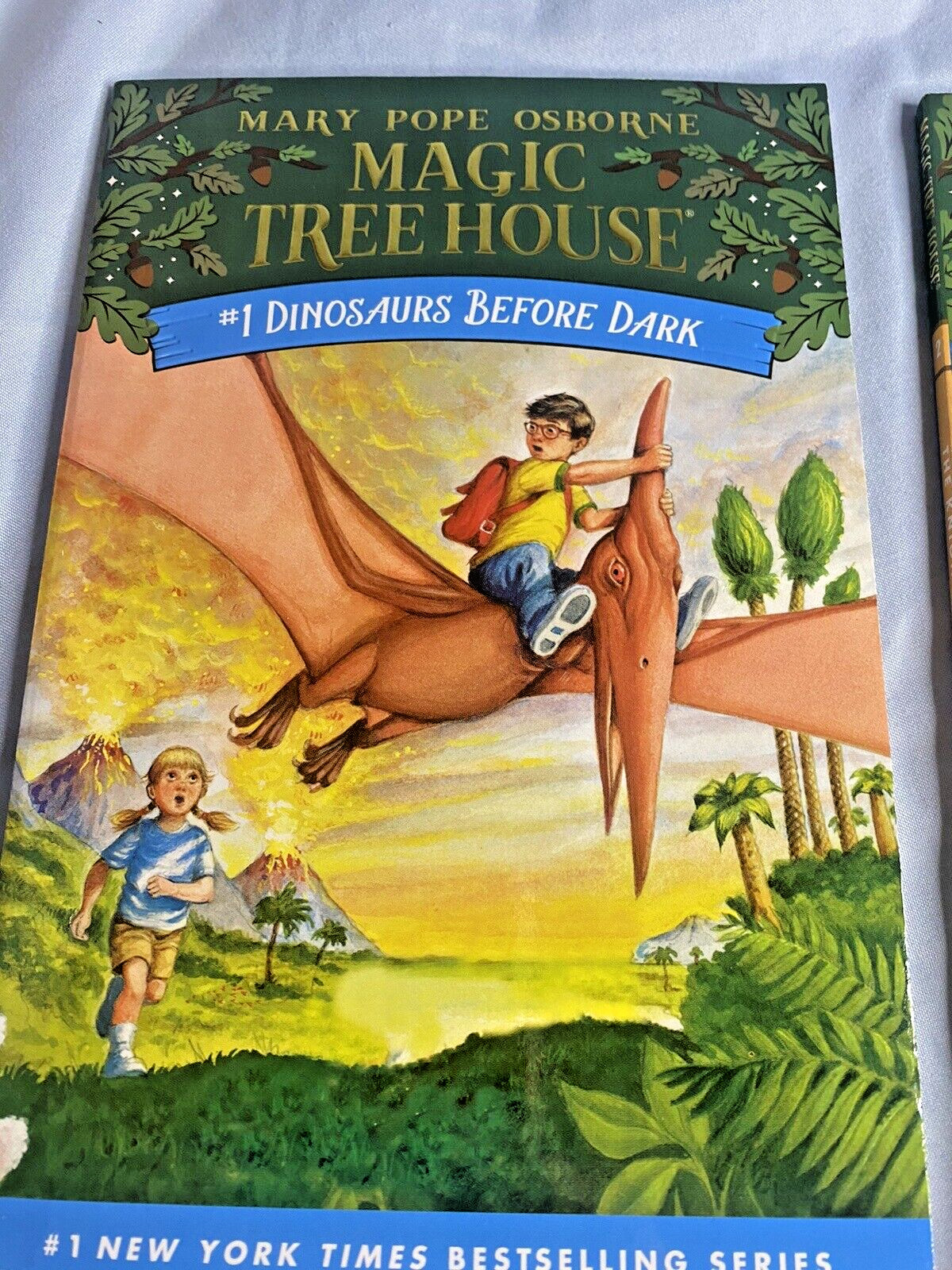 Magic Tree House Chapter Books 1-4 Boxed Set Paperback Mary Pope Osborne