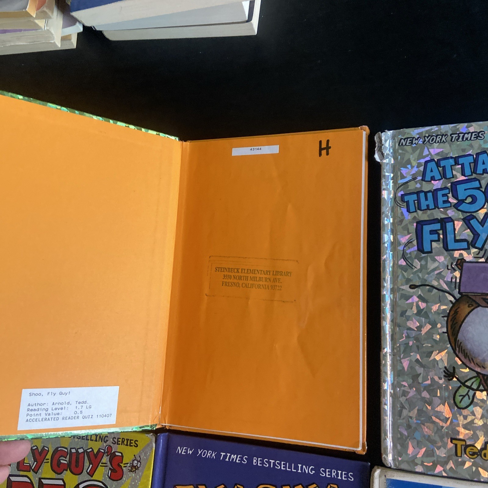 Fly Guy By Tedd Arnold Lot Of 18 HCs & PBs Acceptable To VG Condition