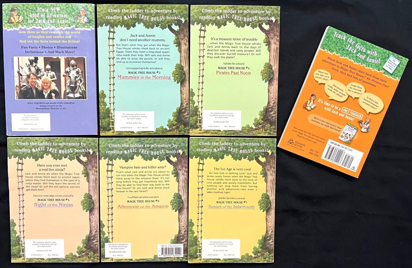 MAGIC TREE HOUSE SERIES (Books 2 – 7) *Plus additional “Pirates” book (7 books)