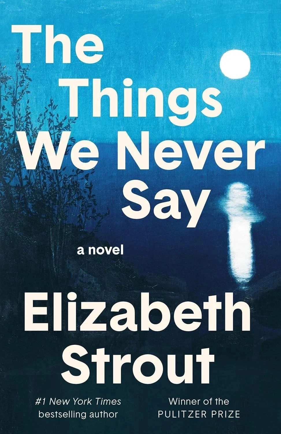 The Things We Never Say Elizabeth Strout 2026 HC Literary Fiction Novel