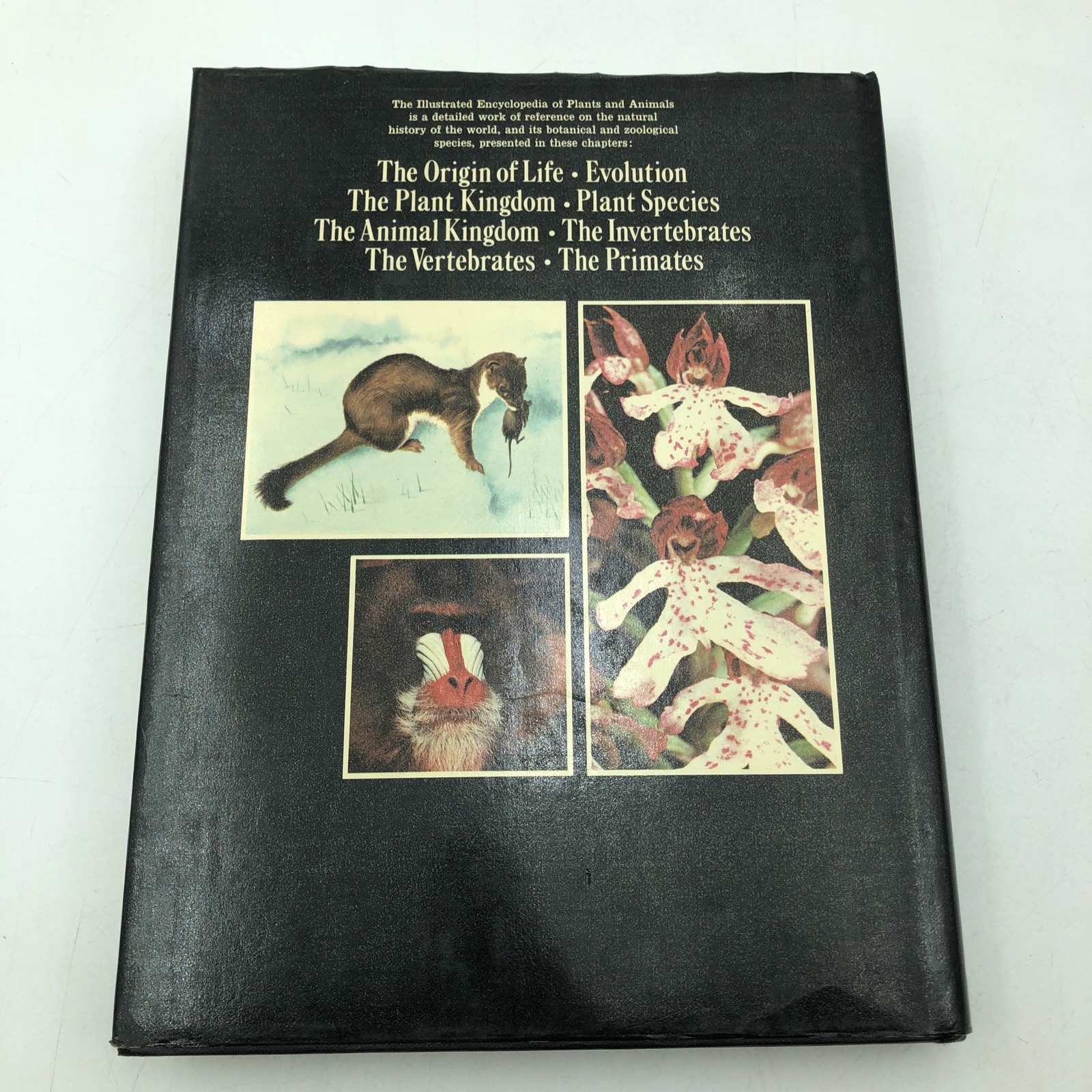 THE MARSHALL CAVENDISH ILLUSTRATED ENCYCLOPEDIA OF PLANTS AND ANIMALS, Exeter