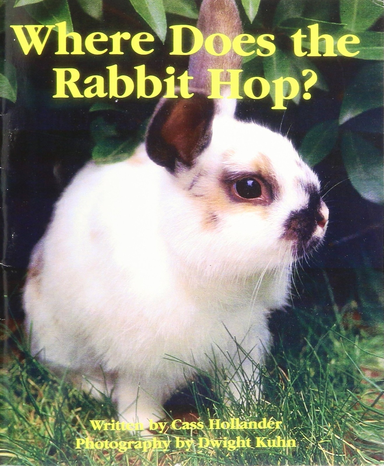 Where Does the Rabbit Hop – Modern Curriculum Press – Very Good – See condit…