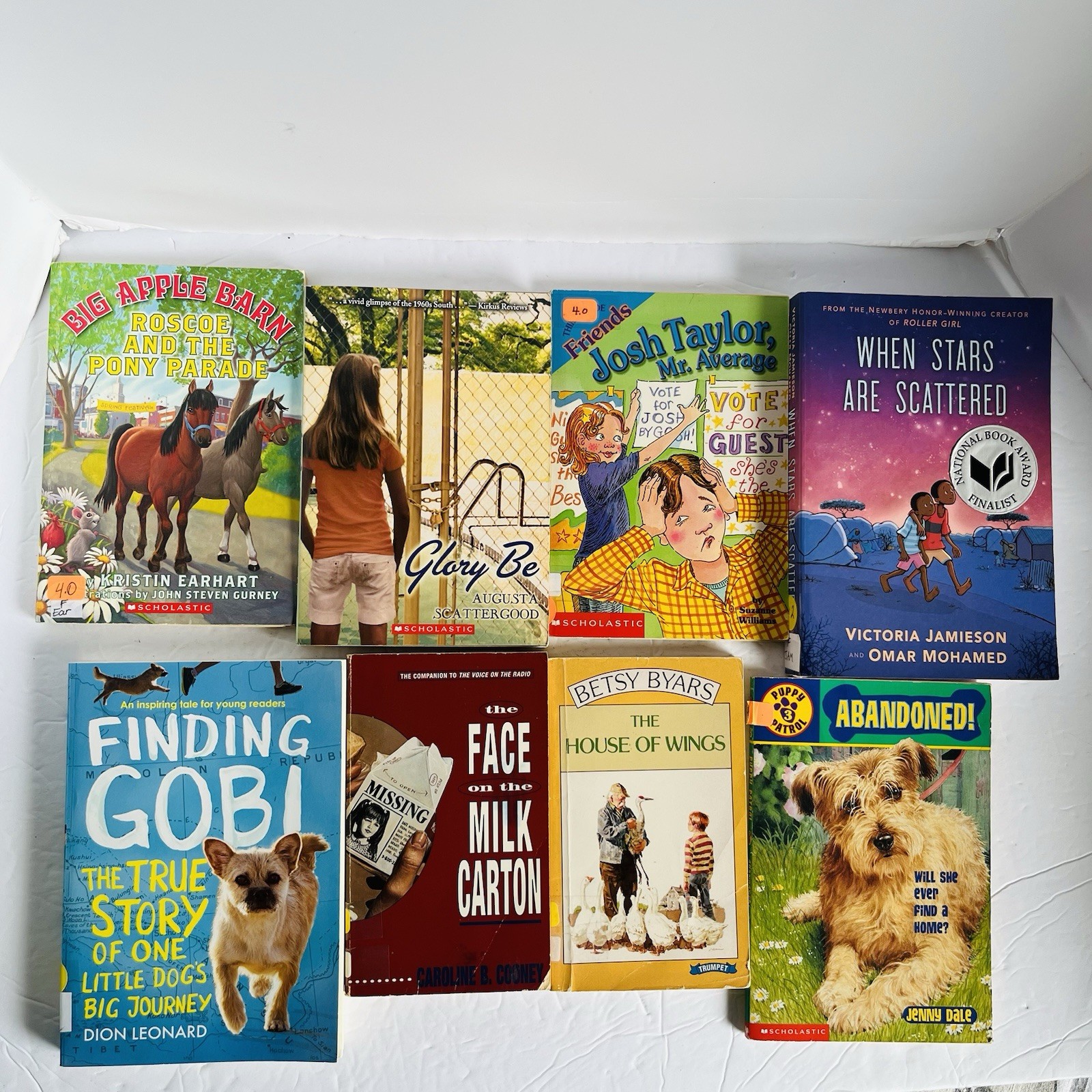 Lot of 10 Random 4th grade Children’s Kids Chapter Book Some series Elementary