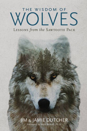 The Wisdom of Wolves: Lessons From the Sawtooth Pack – Hardcover – VERY GOOD