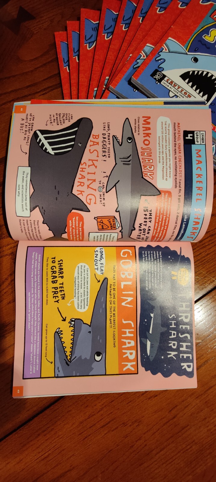 Everything about Sharks and Other Underwater Creatures by Mike Lowery BRAND NEW