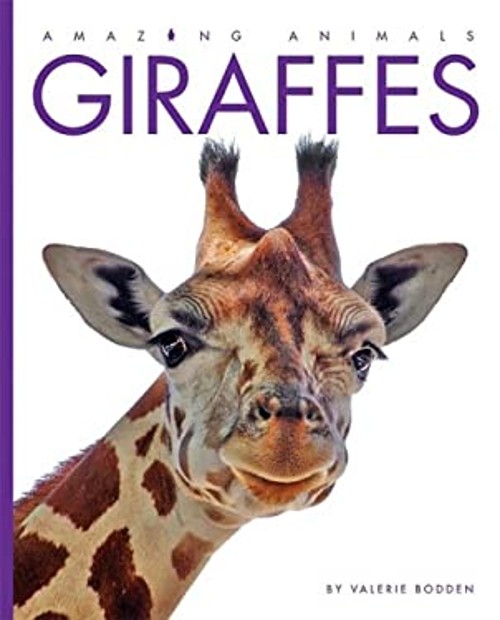 Amazing Animals – Giraffes Hardcover Valerie Bodden