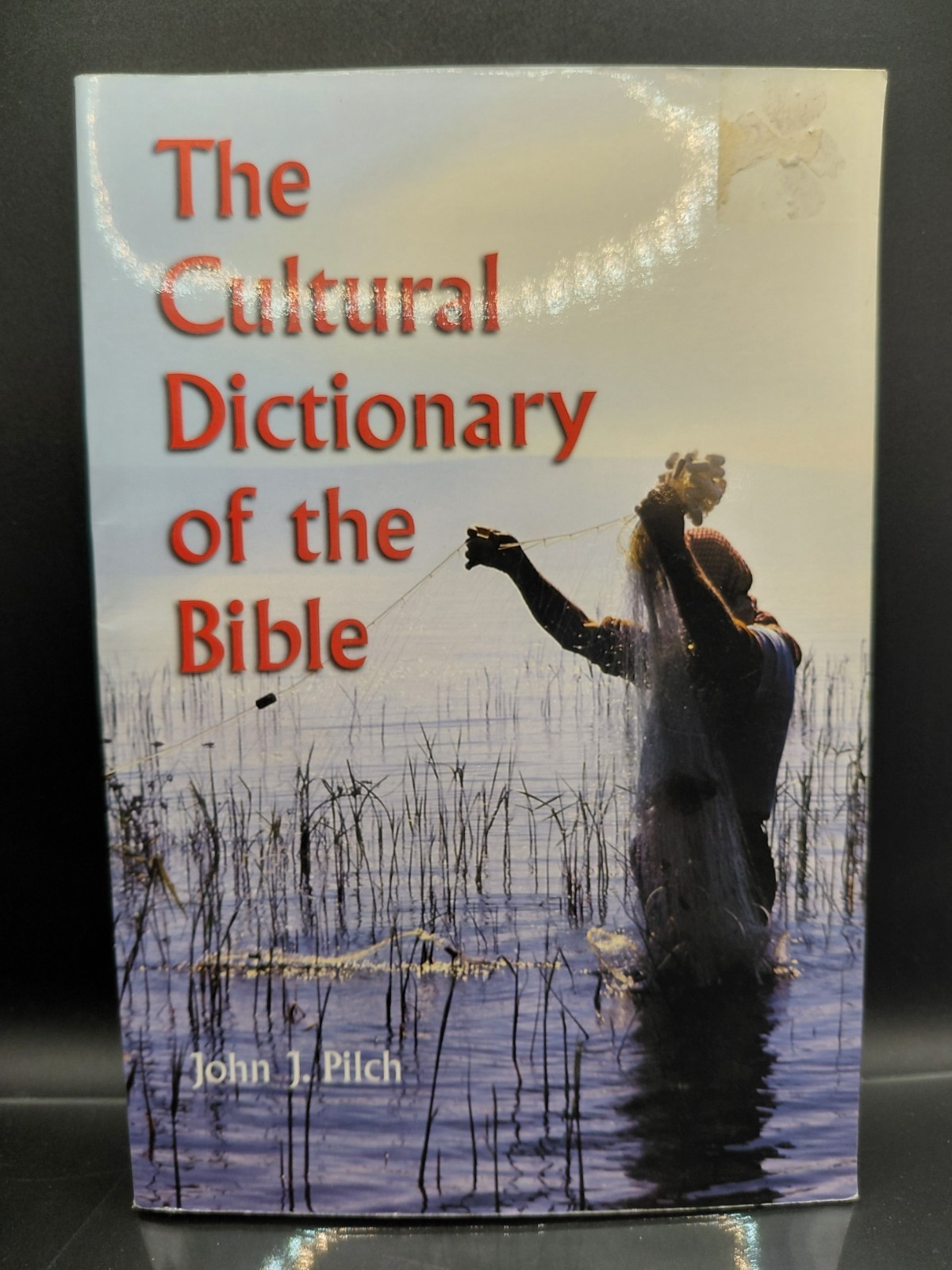 Cultural Dictionary of the Bible by John J. Pilch (1999, Trade Paperback) Book