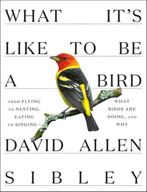 What It’s Like to Be a Bird : From Flying to Nesting, Eating to S