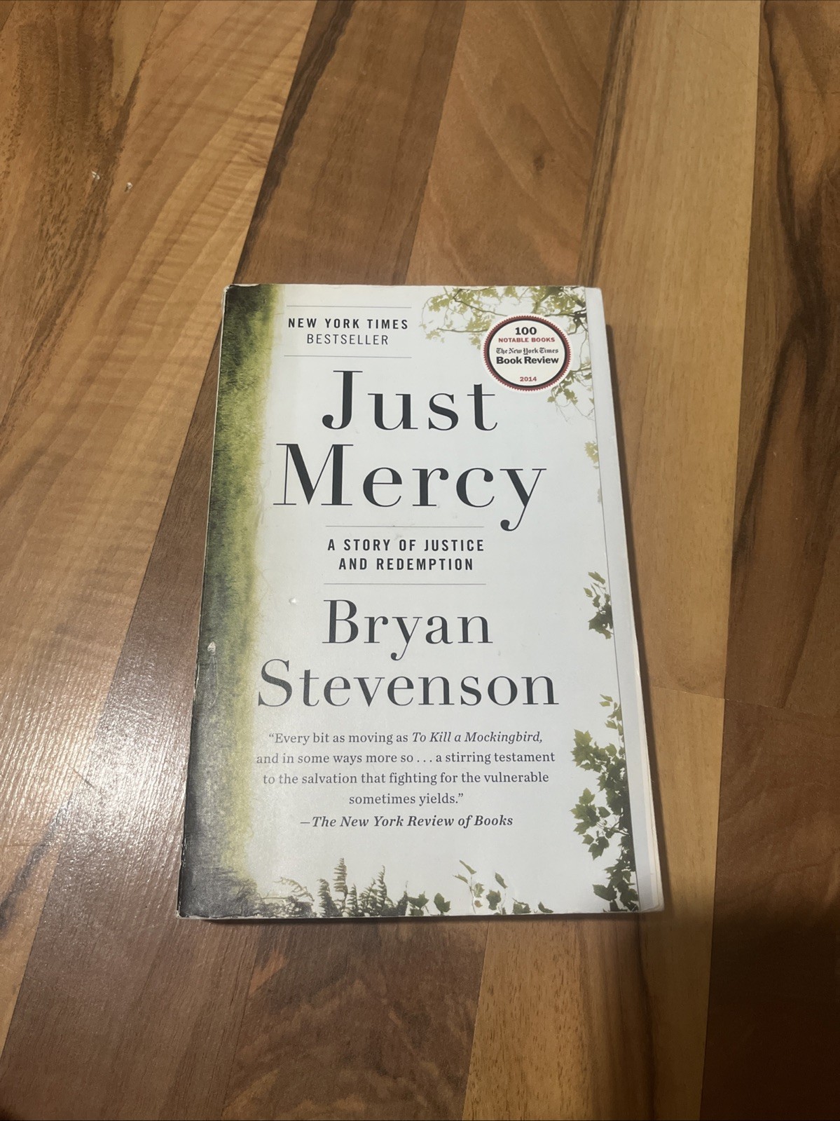 Just Mercy : A Story of Justice and Redemption by Bryan Stevenson