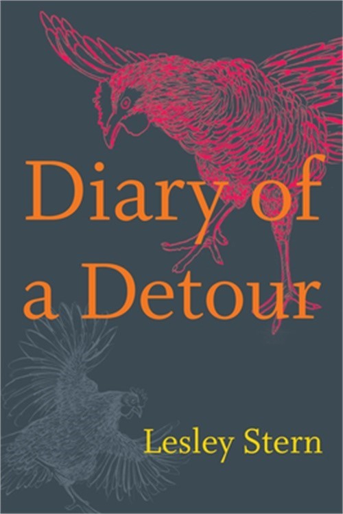 Diary of a Detour (Paperback or Softback)
