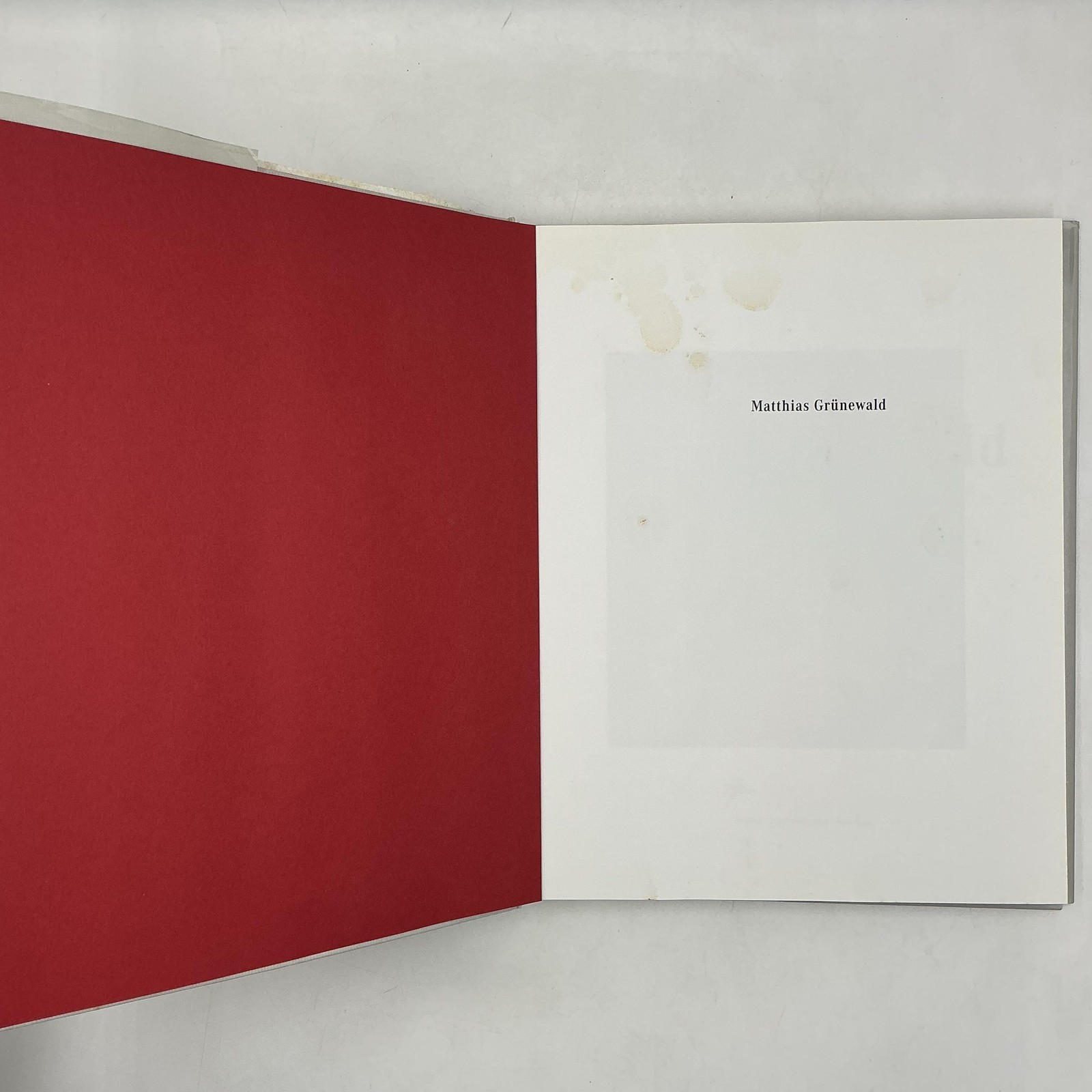 Matthias Grünewald Horst Ziermann Erika Billeter Red HC DJ 2001 Prestel Germany