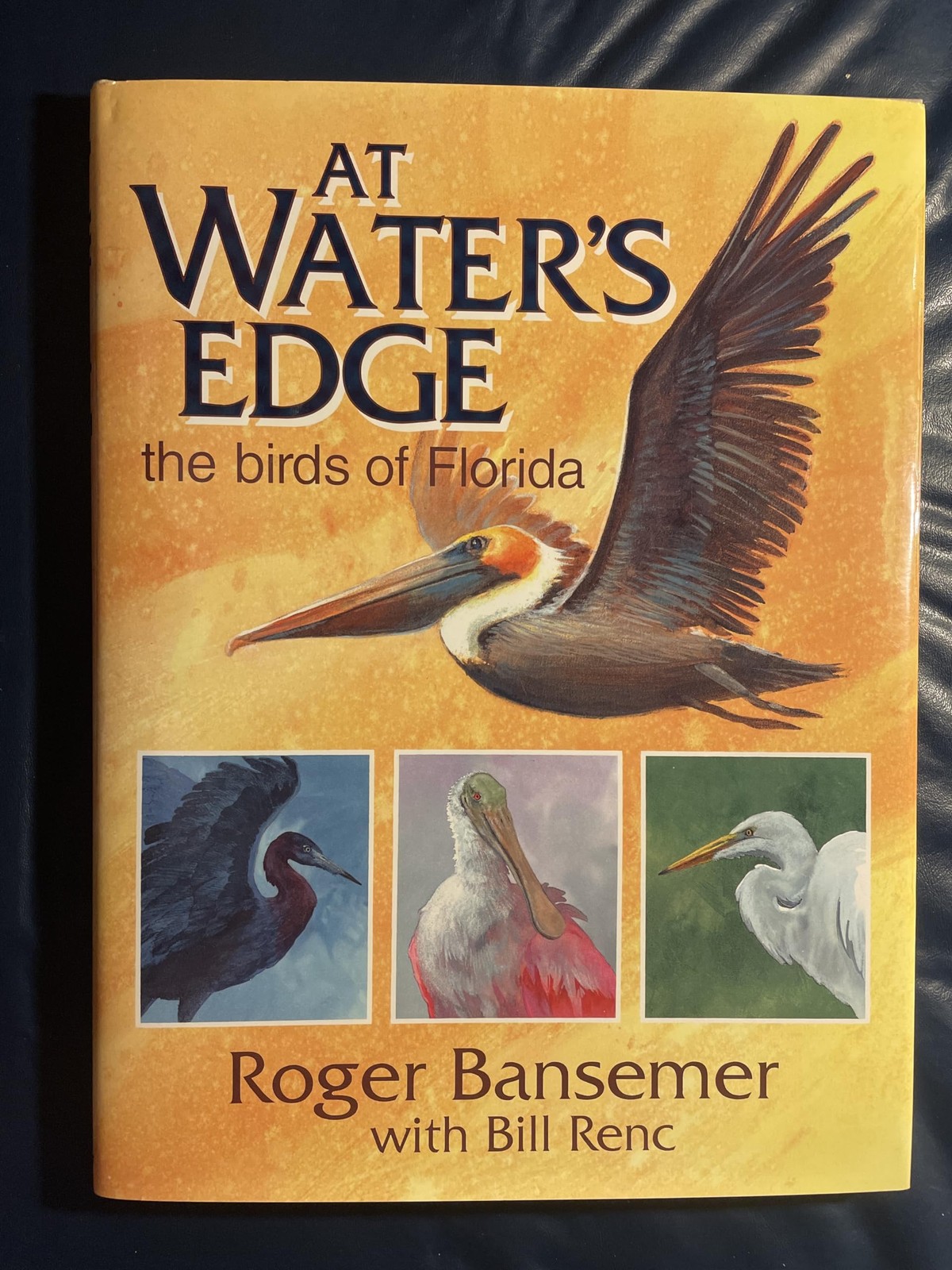 At Water’s Edge: The Birds of Florida – Bansemer Roger – Good – See conditio…