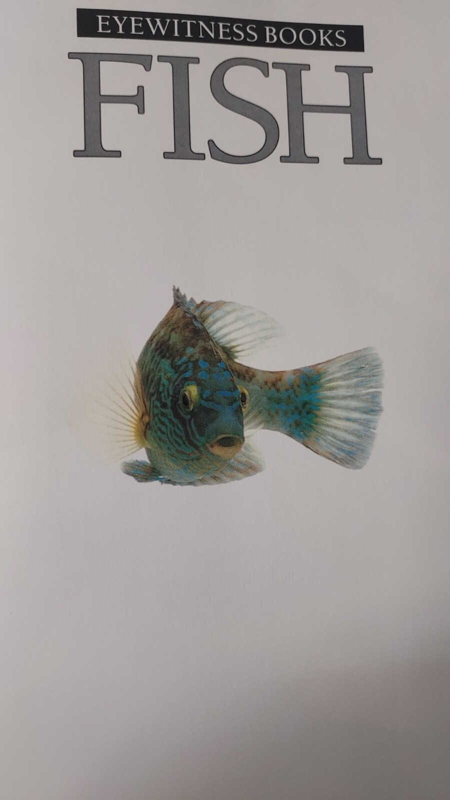 Vtg Eyewitness Bks. Fish by Steve Parker and Dorling Kindersley Publishing Staff