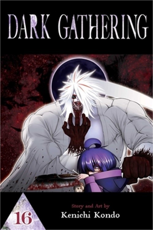 Dark Gathering, Vol. 16 (Paperback or Softback)