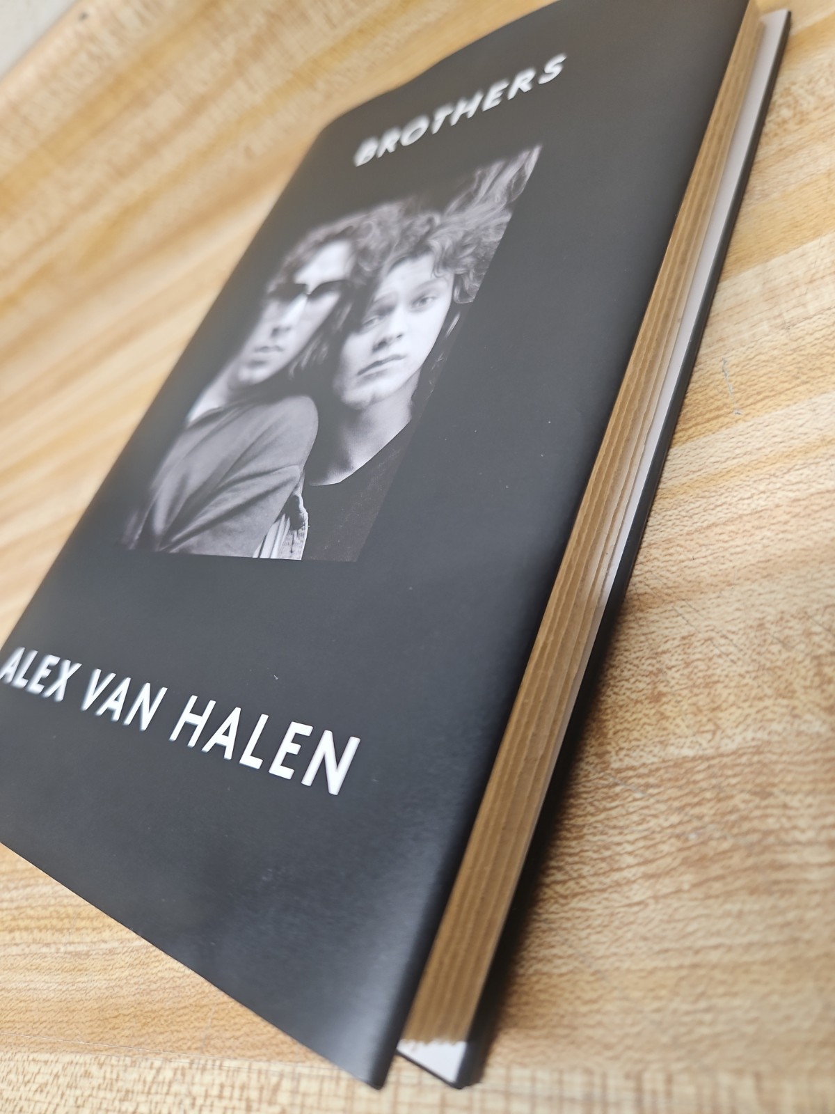 Brothers by Alex van Halen (2024, Hardcover)