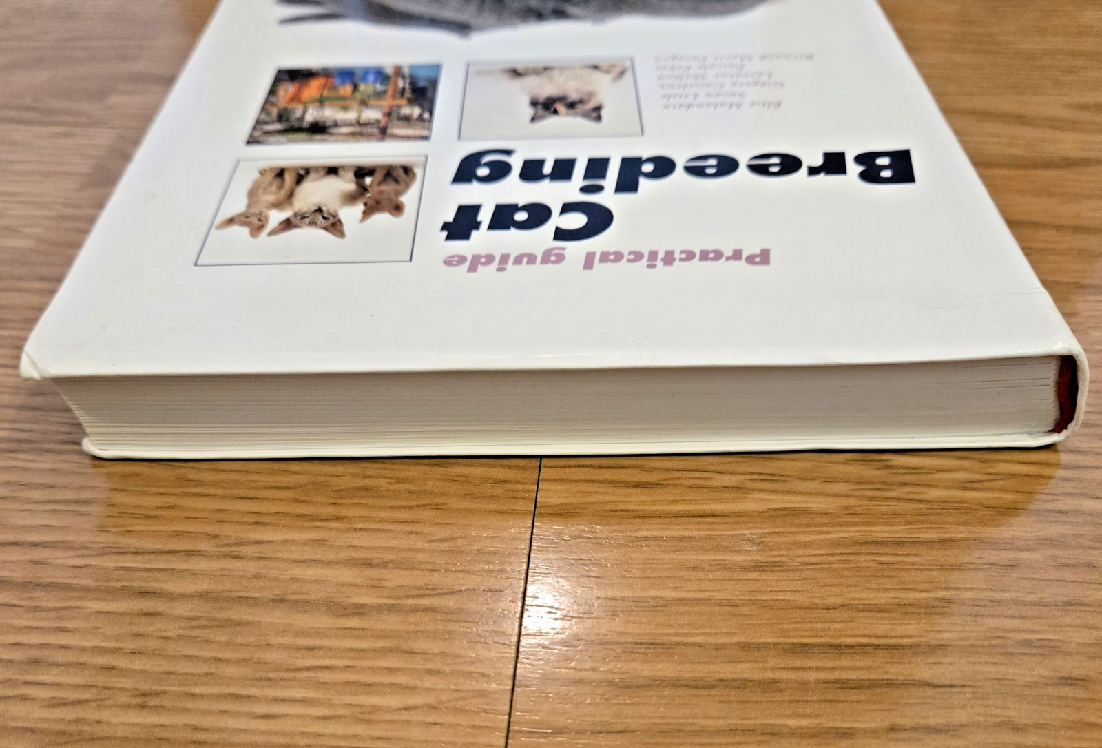 Royal Canin Practical Guide Cat Breeding – Very Good Condition – 2006- 332 pages