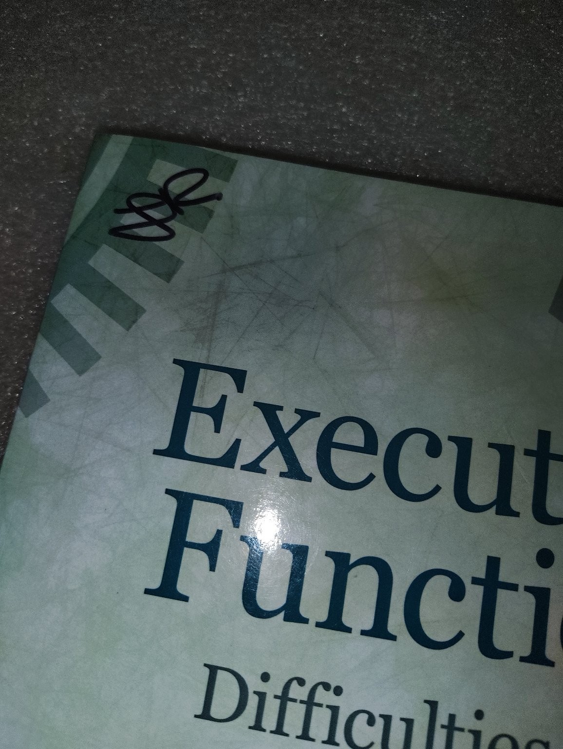 Executive Function Difficulties in Adults Sarkis 2018 Workbook PESI