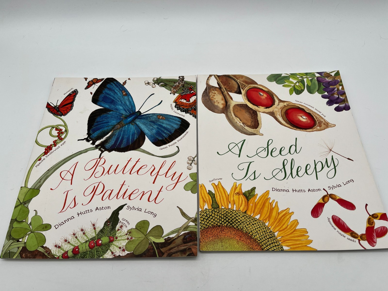 Dianna Hutts Aston 2 Trade Paperback Lot- Butterfly is Patient~ Seed is Sleepy