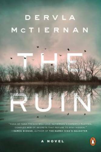 The Ruin: A Novel – Paperback By McTiernan, Dervla – GOOD