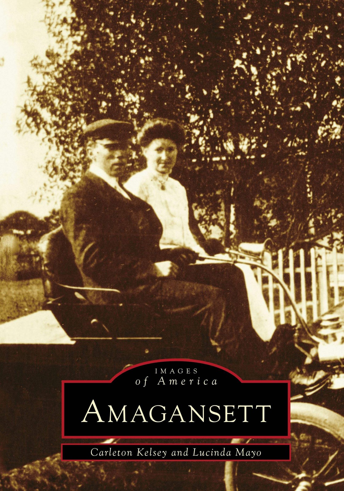 NEW Arcadia Publishing Amagansett, NY 9780738590349 Images of America Trade Pape