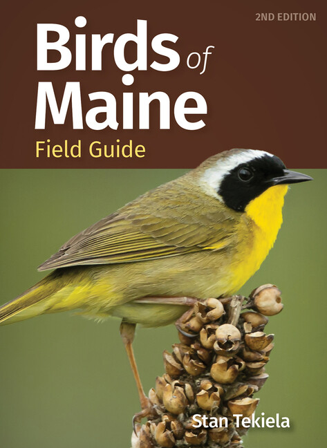 Birds Of Maine Field Guide
