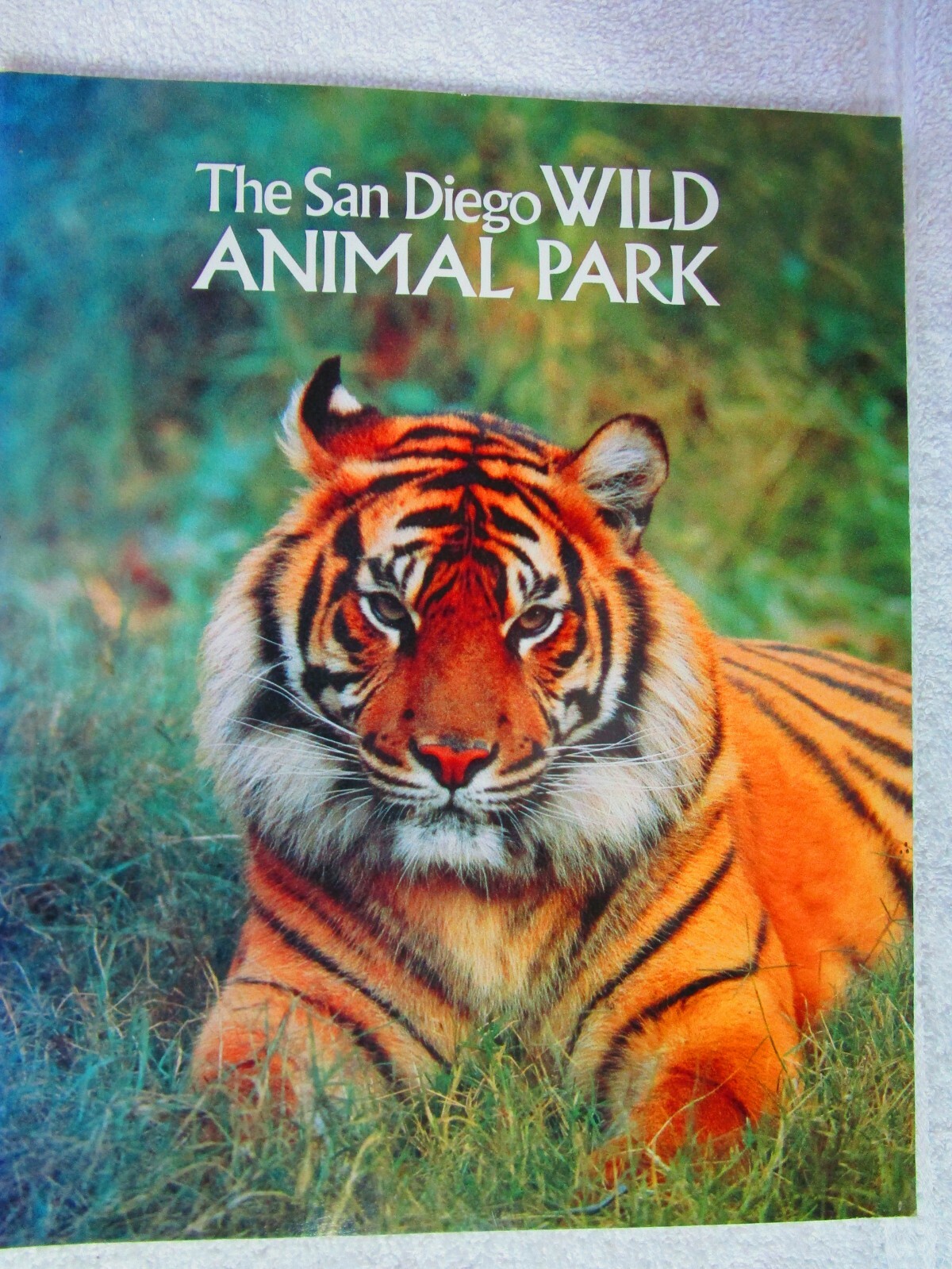 SAN DIEGO WILD ANIMAL PARK By Bill Bruns Photographs by Garrison & Schmidt