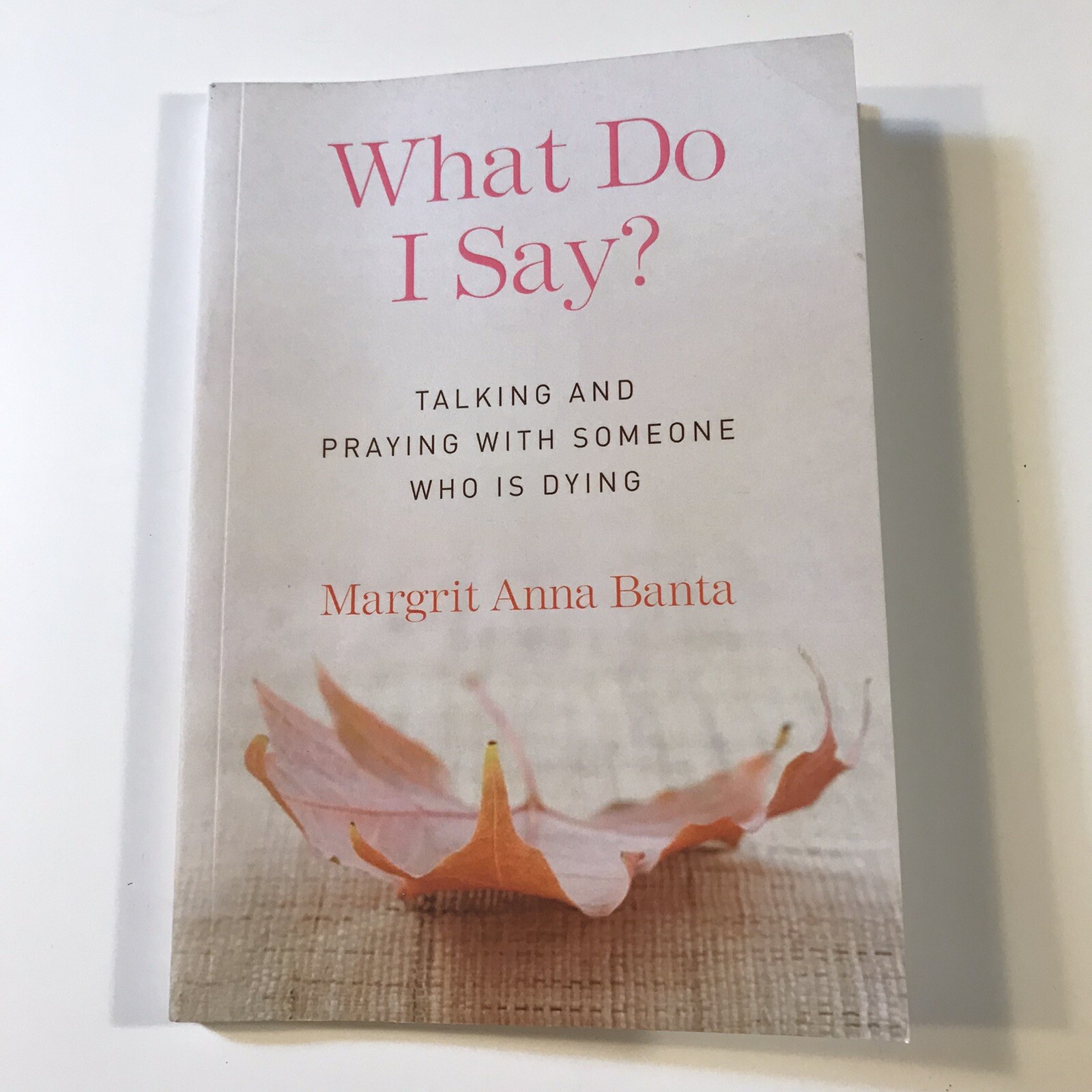 What Do I Say? by Margrit Anna Banta (2014 Franciscan Media Paperback)