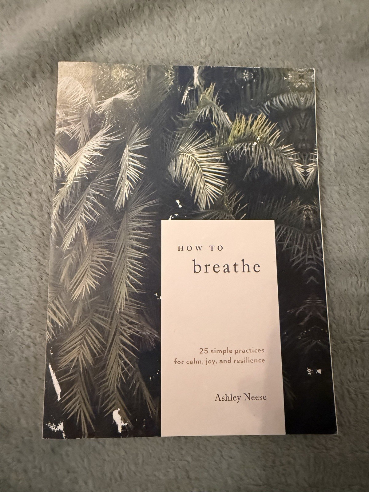 How to Breathe Ashley Neese Paperback Ten Speed Press 2019