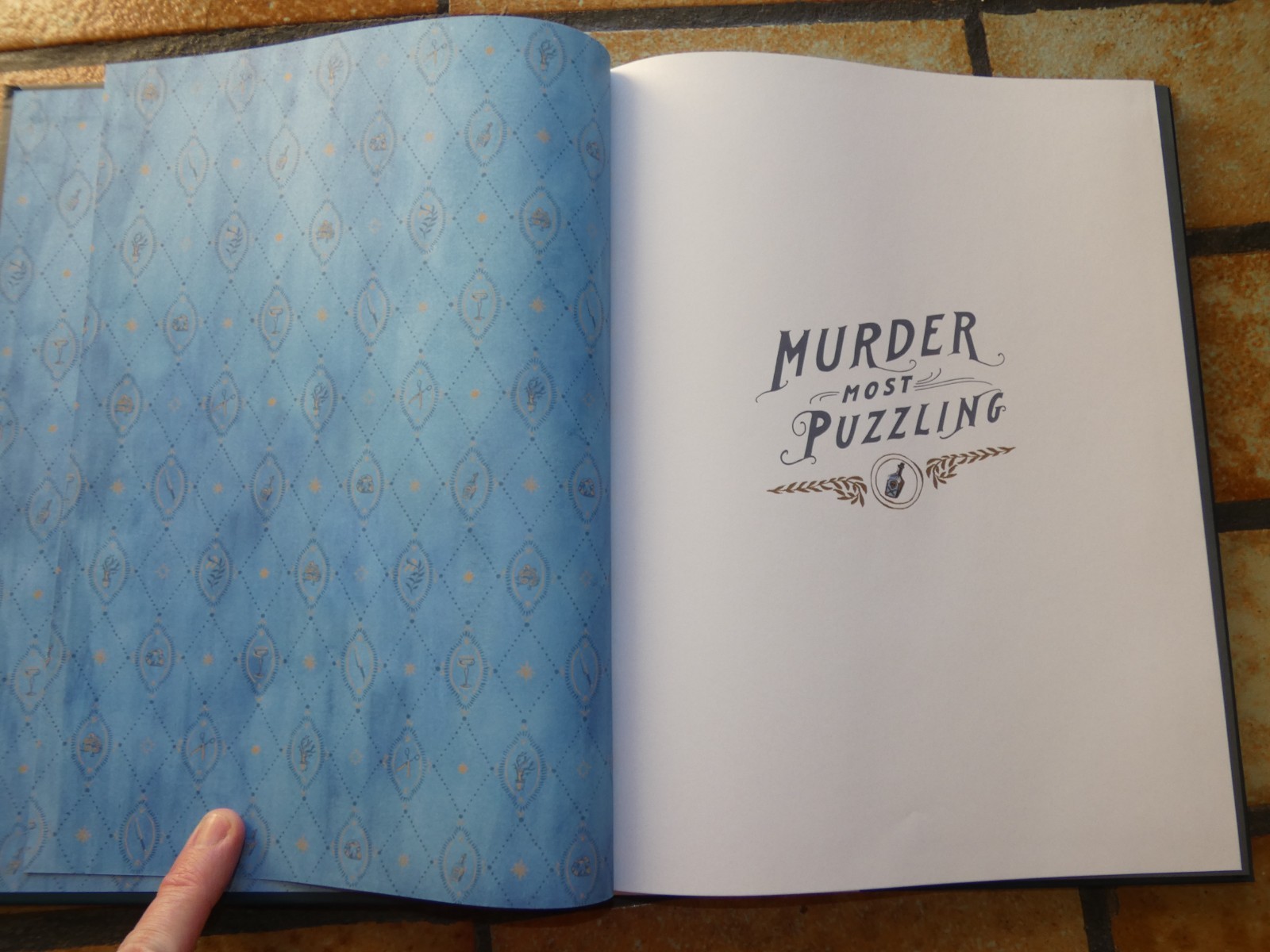 Murder Most Puzzling : Twenty Mysterious Cases to Solve by Stephanie von…