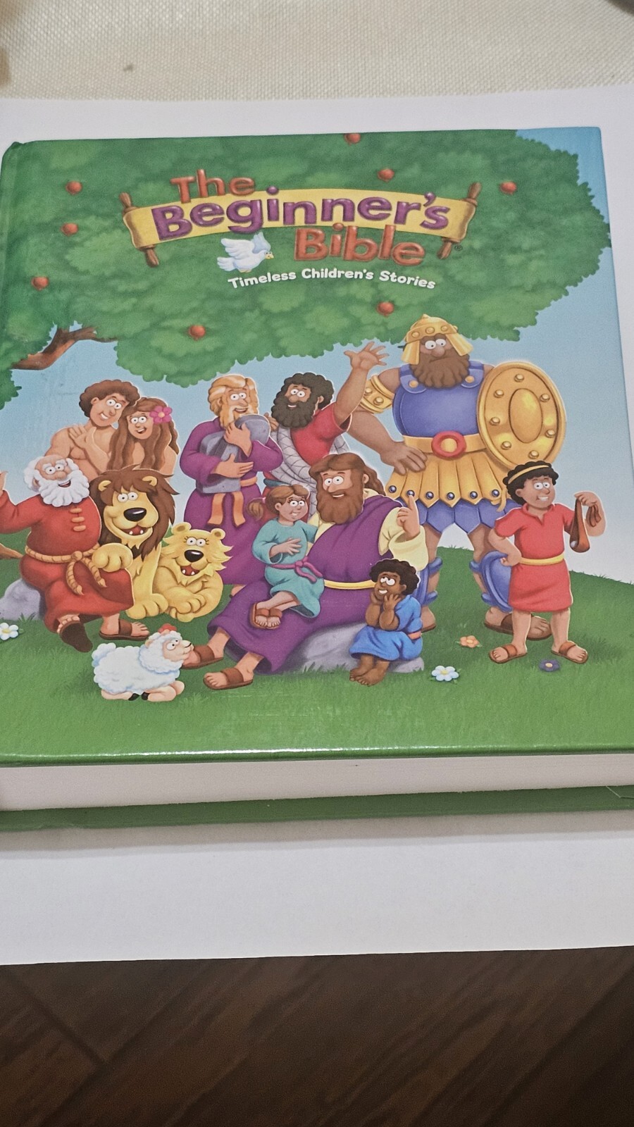The Begginers Kids Bible 511 Pages Hardcover